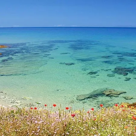 Apartmán - Il Paradiso - Where Dreams True